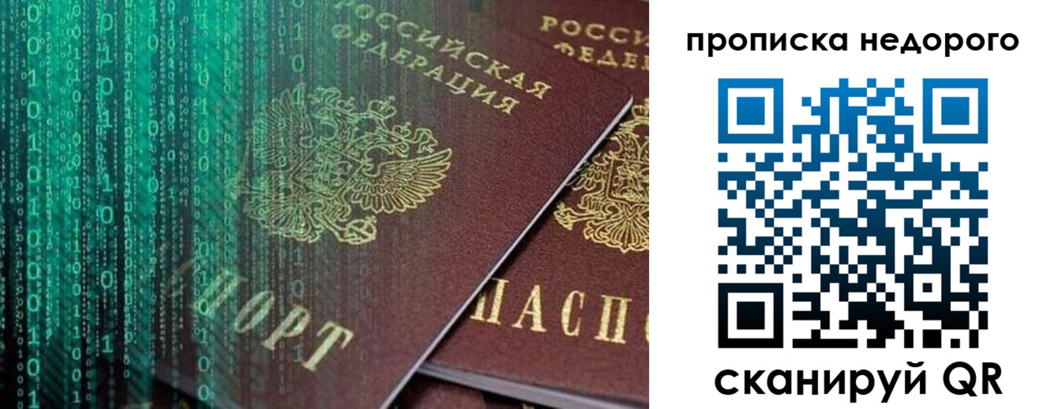 купить прописку в Ярославской области